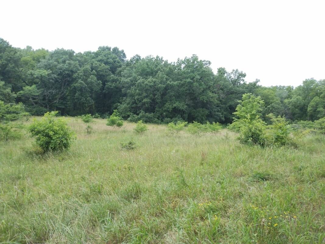 Land for Sale in Schuyler County, MO (31 of 38)