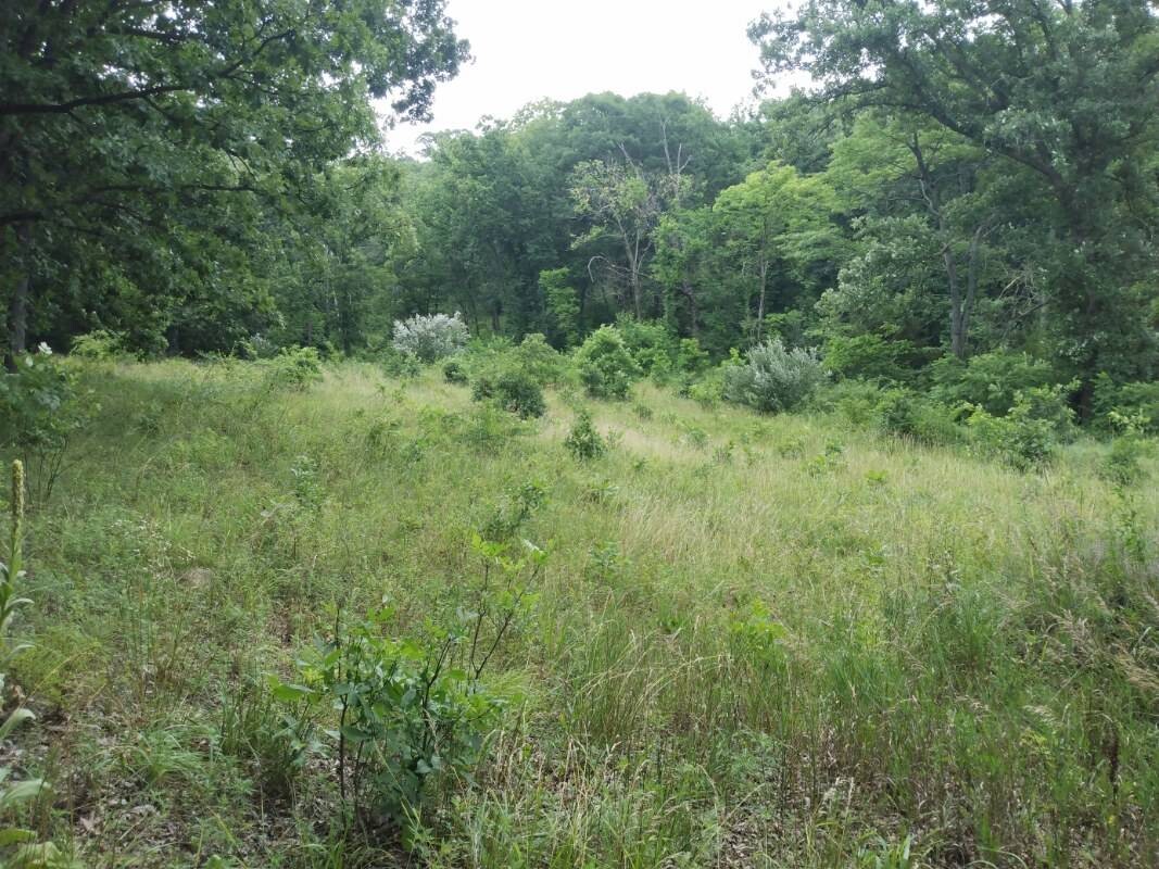 Land for Sale in Schuyler County, MO (32 of 38)