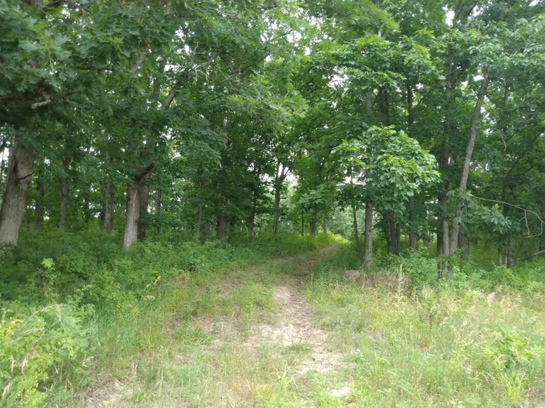 Land for Sale in Schuyler County, MO (33 of 38)