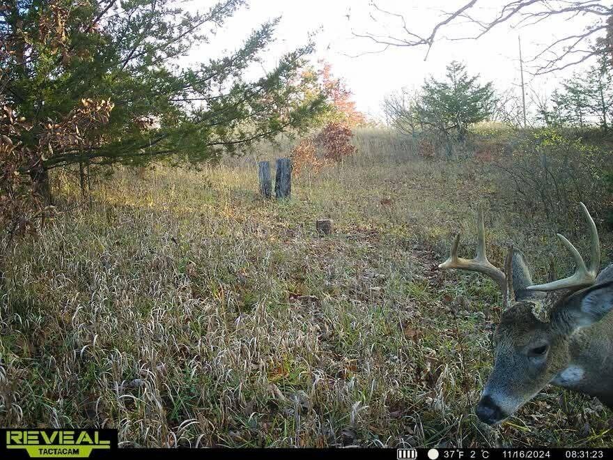 Land for Sale in Schuyler County, MO (34 of 38)