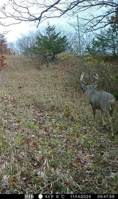 Land for Sale in Schuyler County, MO (36 of 38)