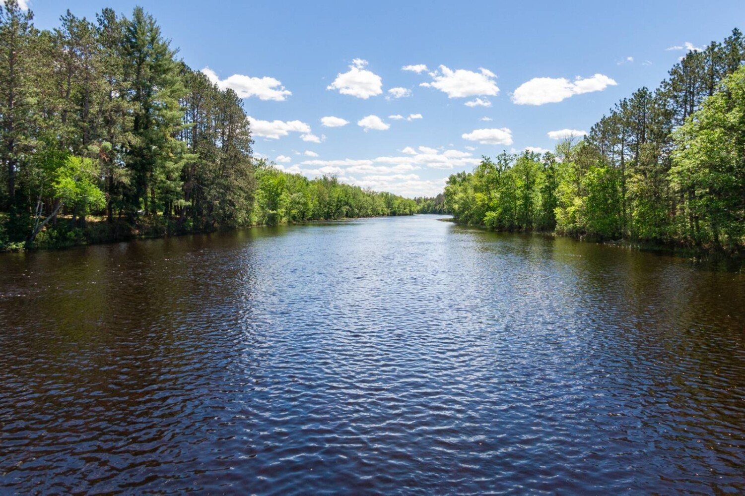Land for Sale in Itasca County, MN (23 of 29)