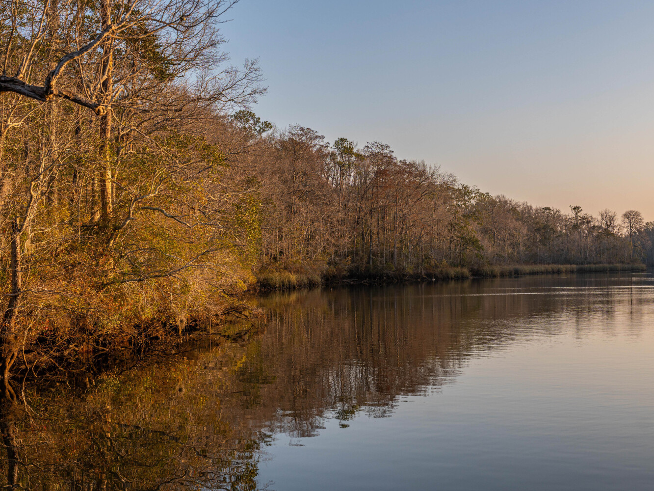 Finca Santa Rosa Parcela A.1, Dorado, PR, 00646
