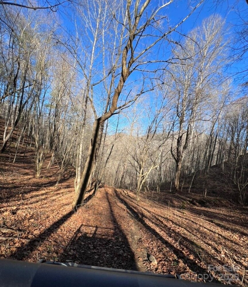 Land for Sale in Yancey County, NC (3 of 34)