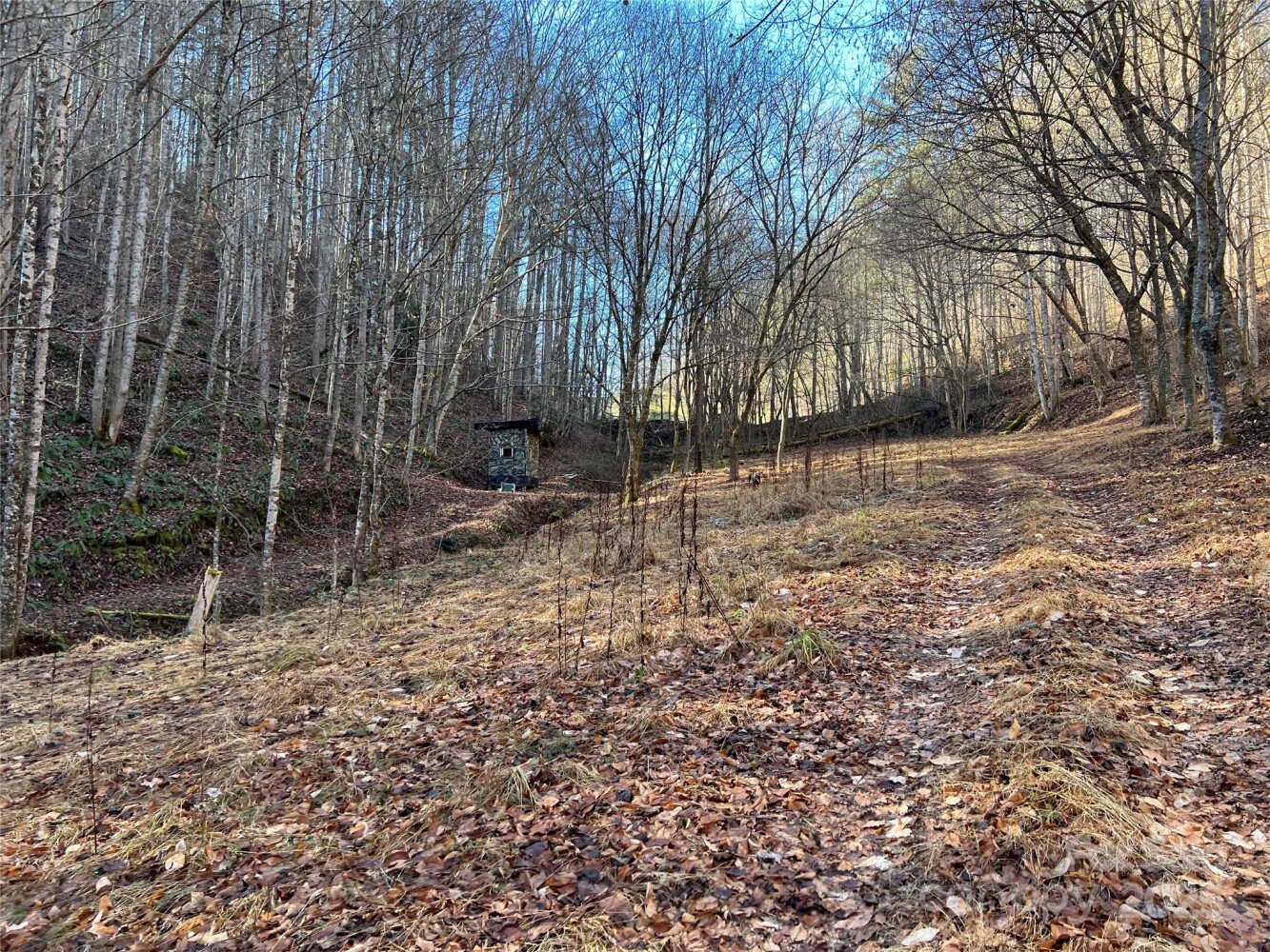 Land for Sale in Yancey County, NC (7 of 34)