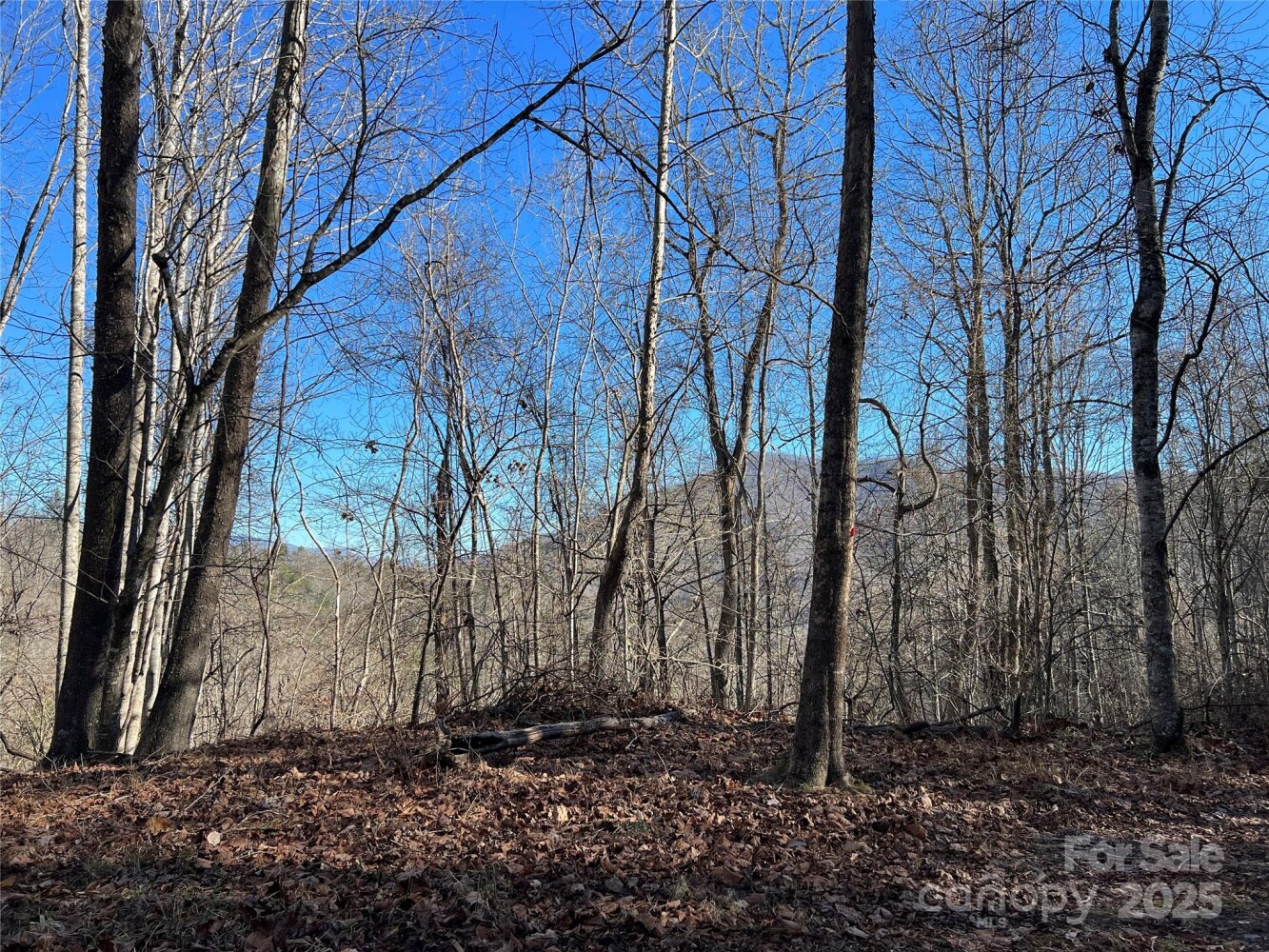 Land for Sale in Yancey County, NC (9 of 34)