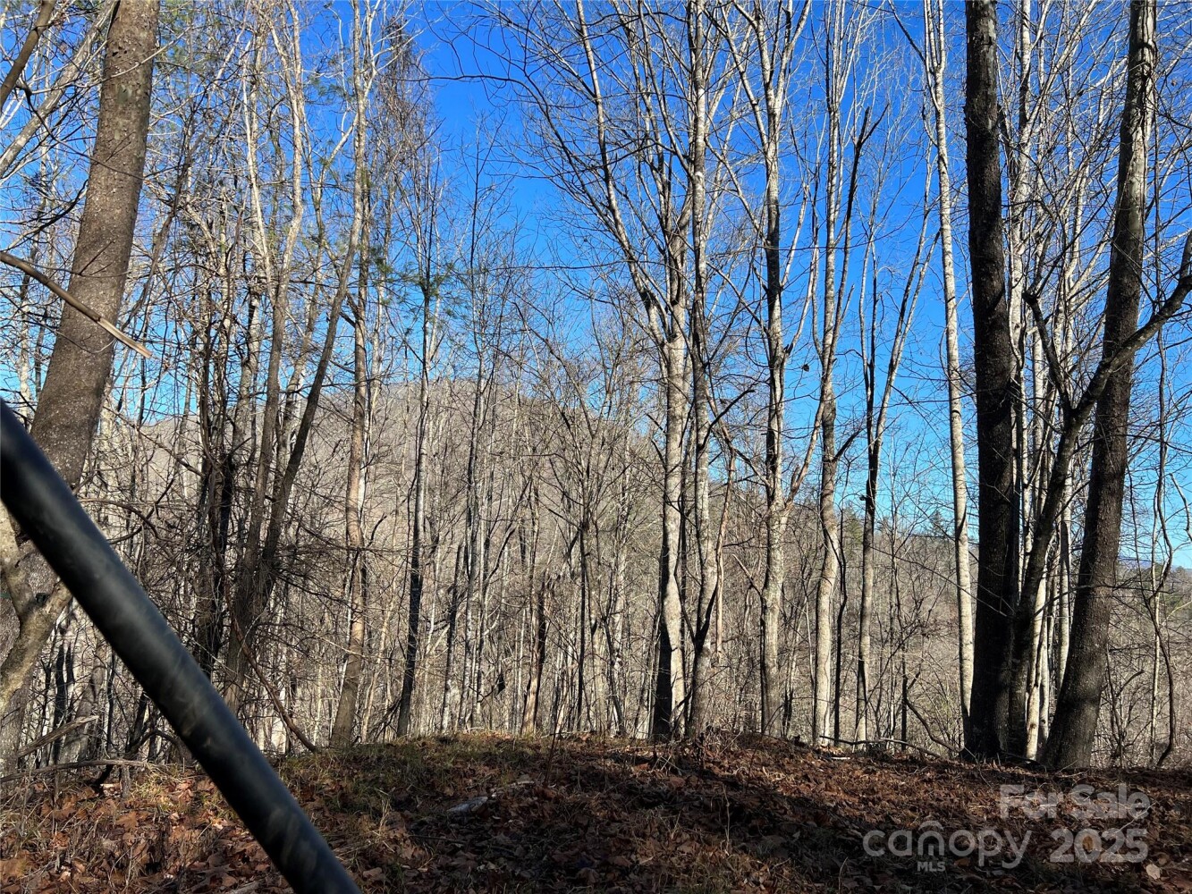 Land for Sale in Yancey County, NC (10 of 34)