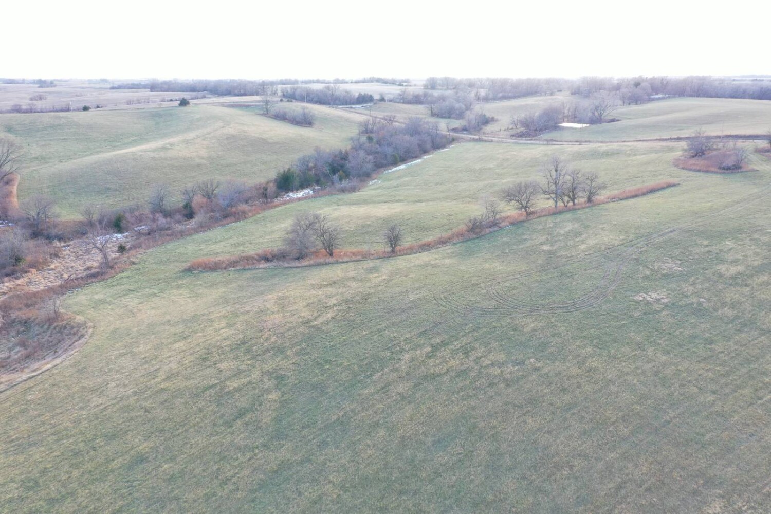 Land for Sale in Harrison County, MO (21 of 32)