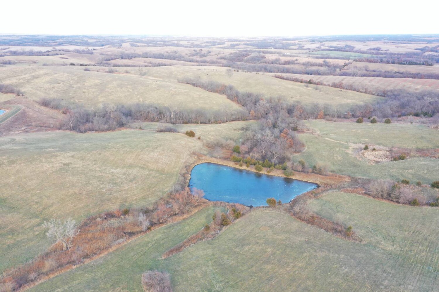 Land for Sale in Harrison County, MO (22 of 32)