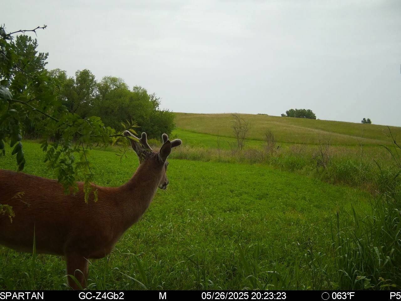 Land for Sale in Harrison County, MO (29 of 32)
