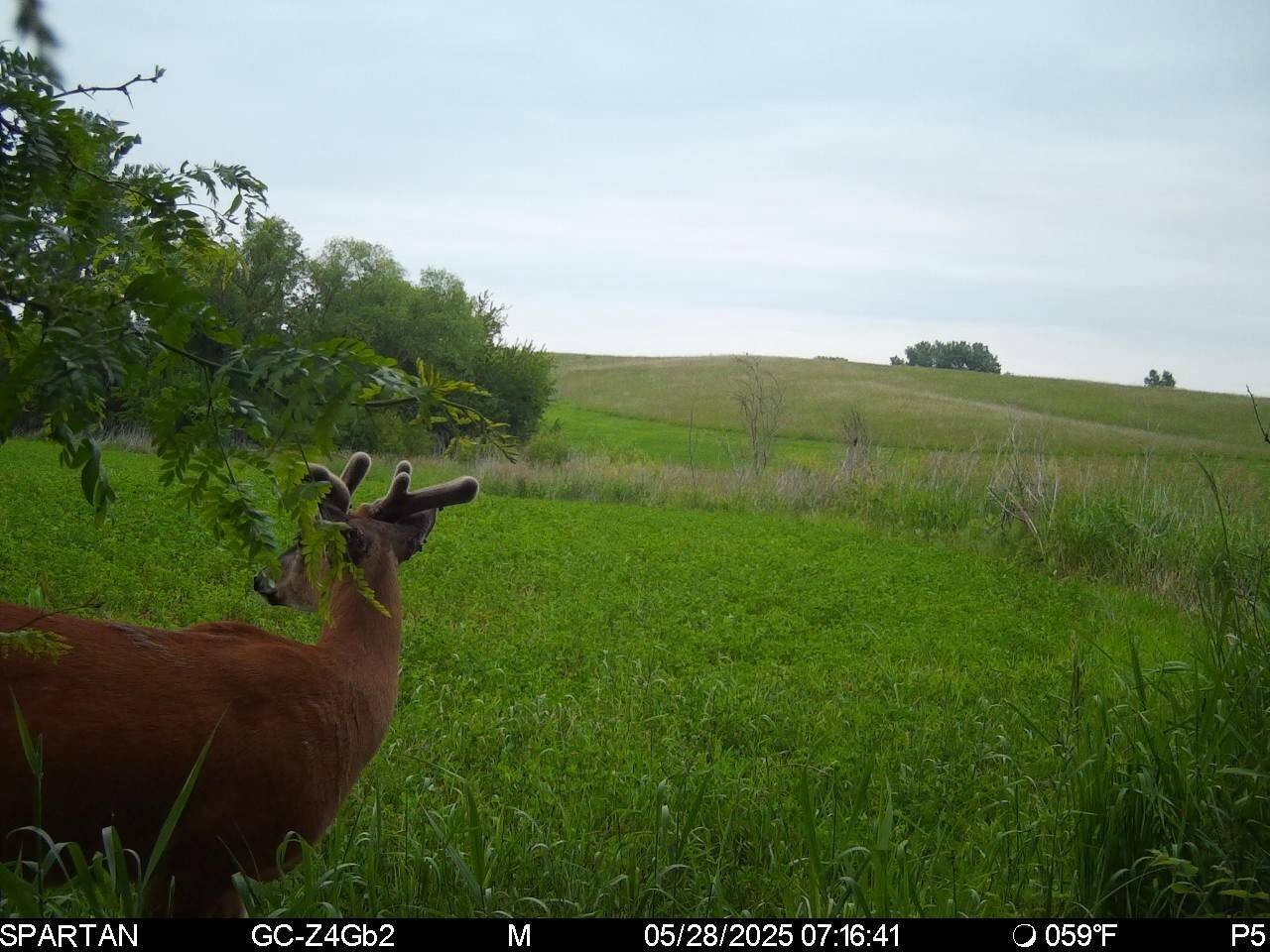 Land for Sale in Harrison County, MO (31 of 32)