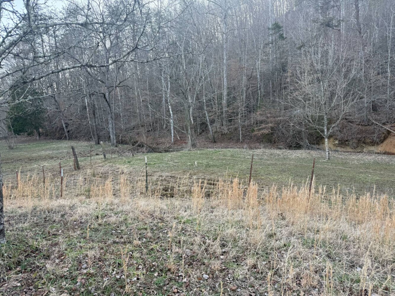 Land for Sale in Knox County, TN (16 of 76)