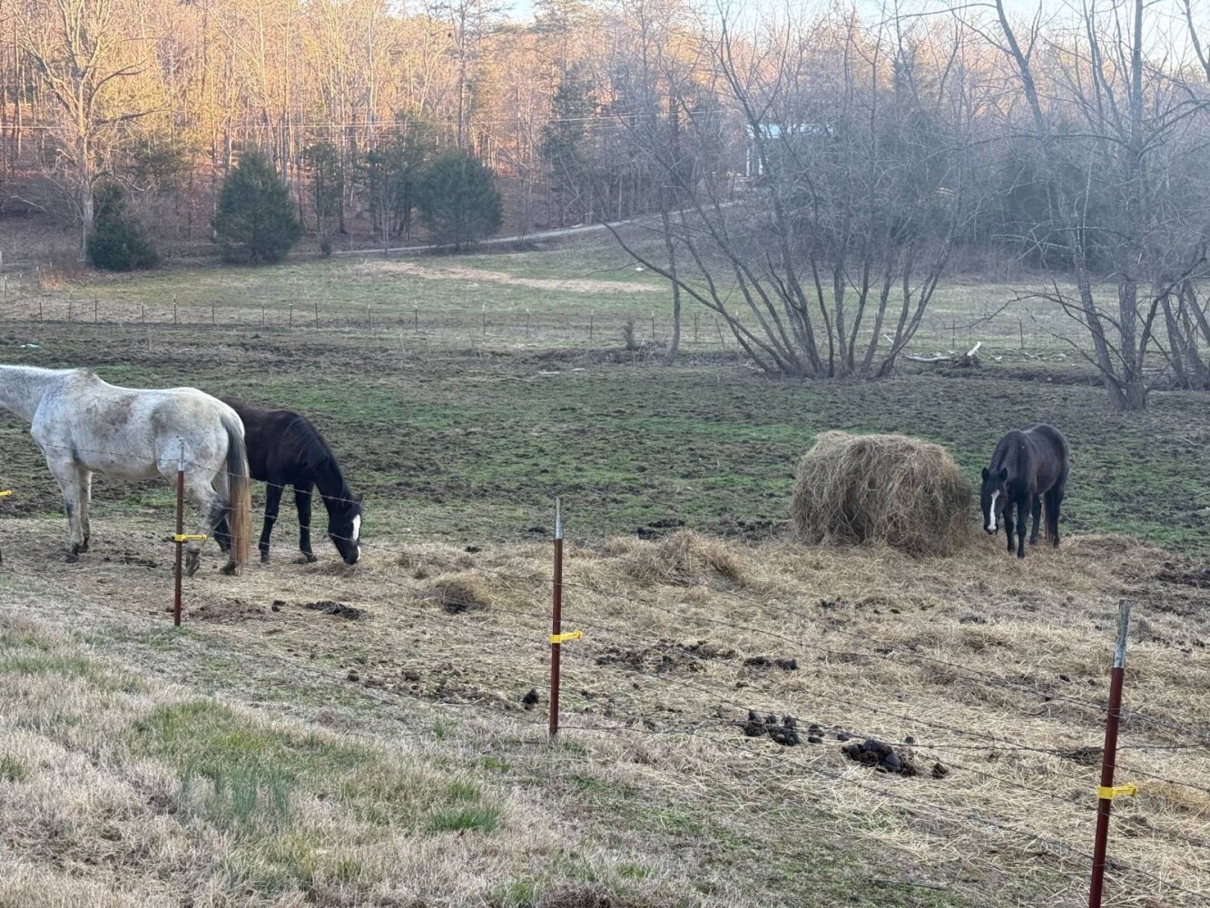 Land for Sale in Knox County, TN (22 of 76)