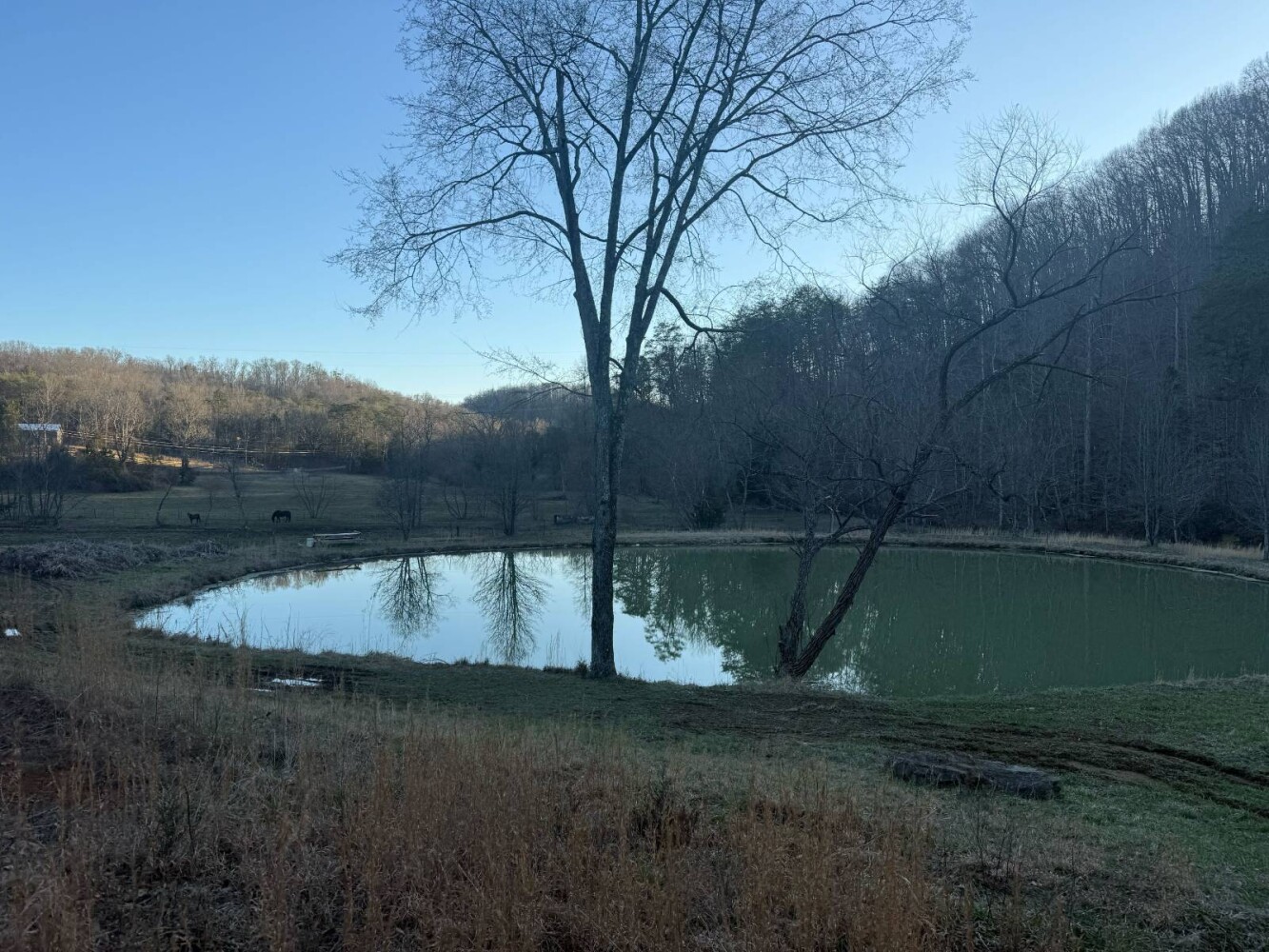 Land for Sale in Knox County, TN (25 of 76)