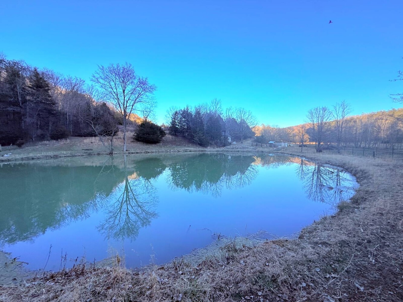 Land for Sale in Knox County, TN (37 of 76)