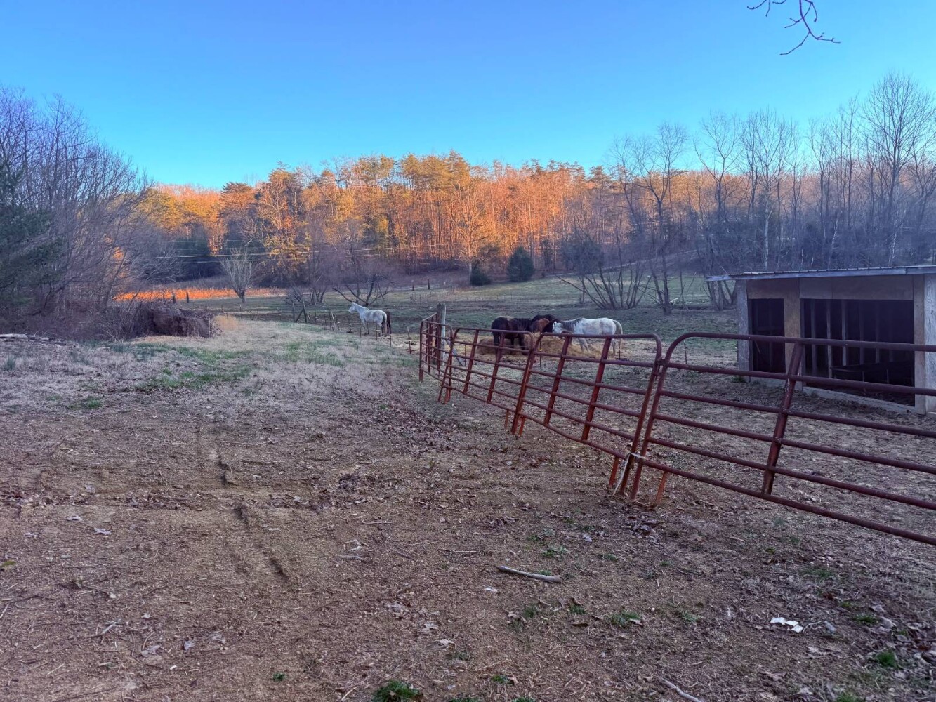 Land for Sale in Knox County, TN (41 of 76)