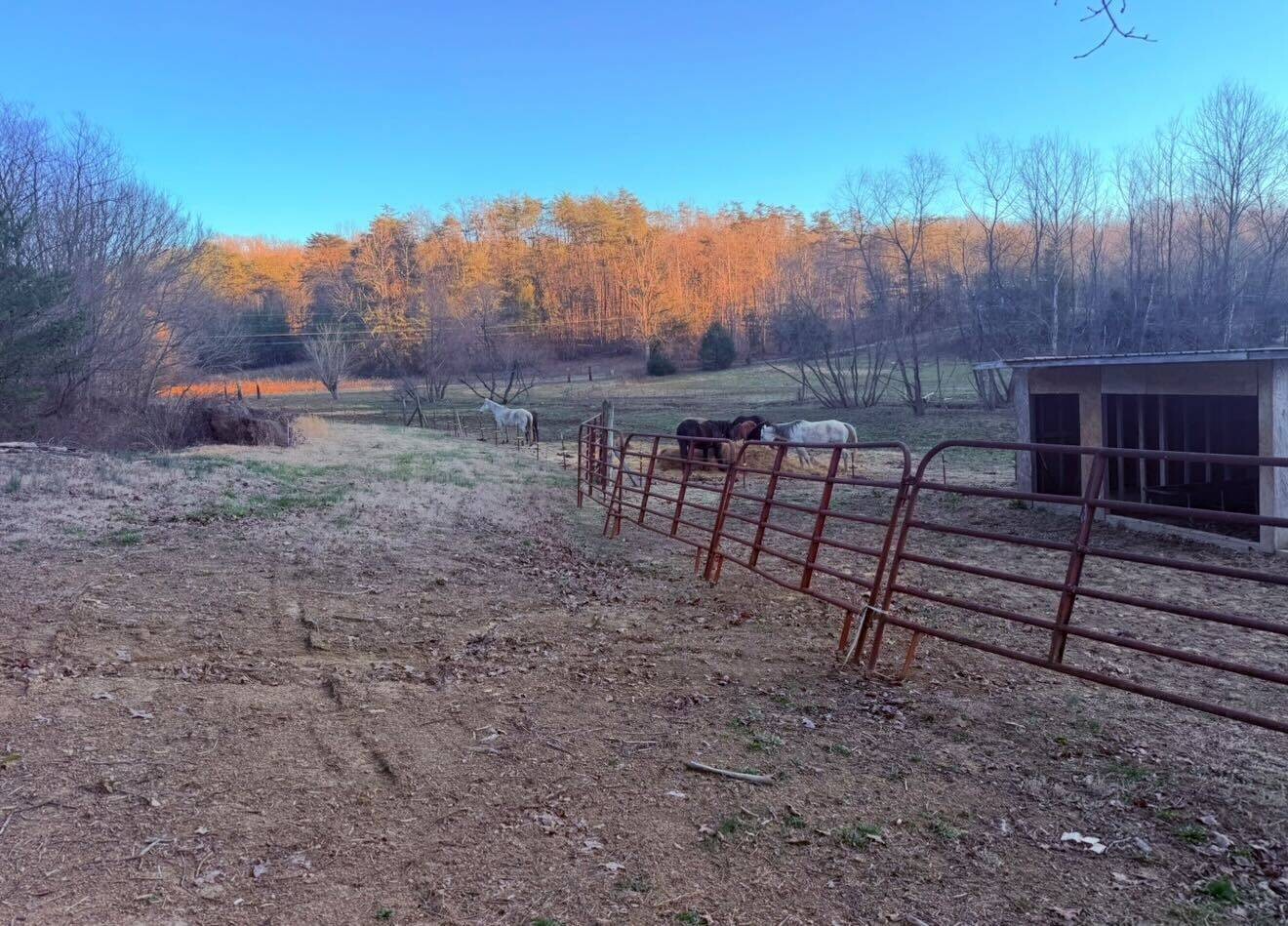 Land for Sale in Knox County, TN (68 of 76)
