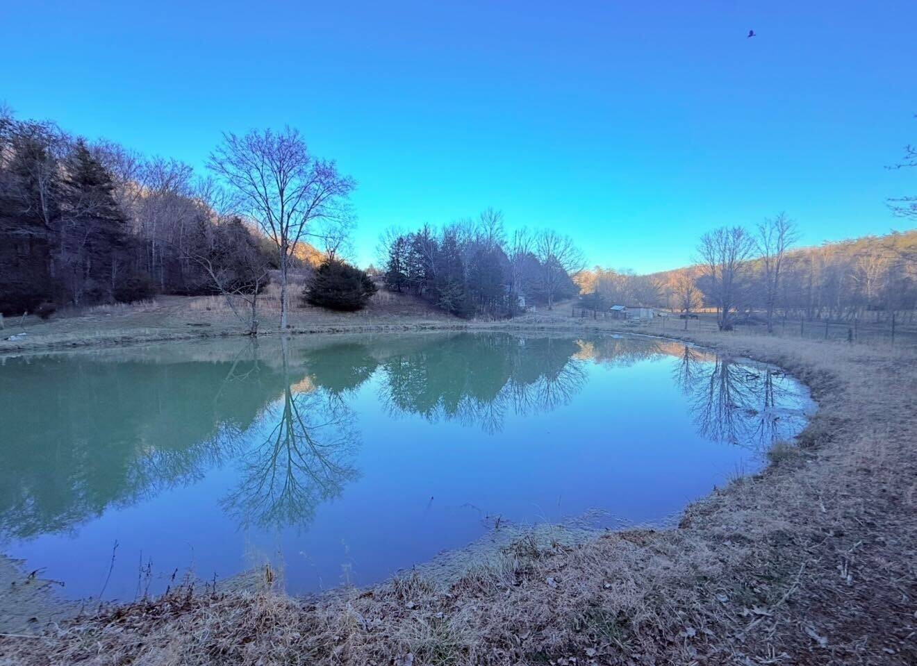 Land for Sale in Knox County, TN (70 of 76)