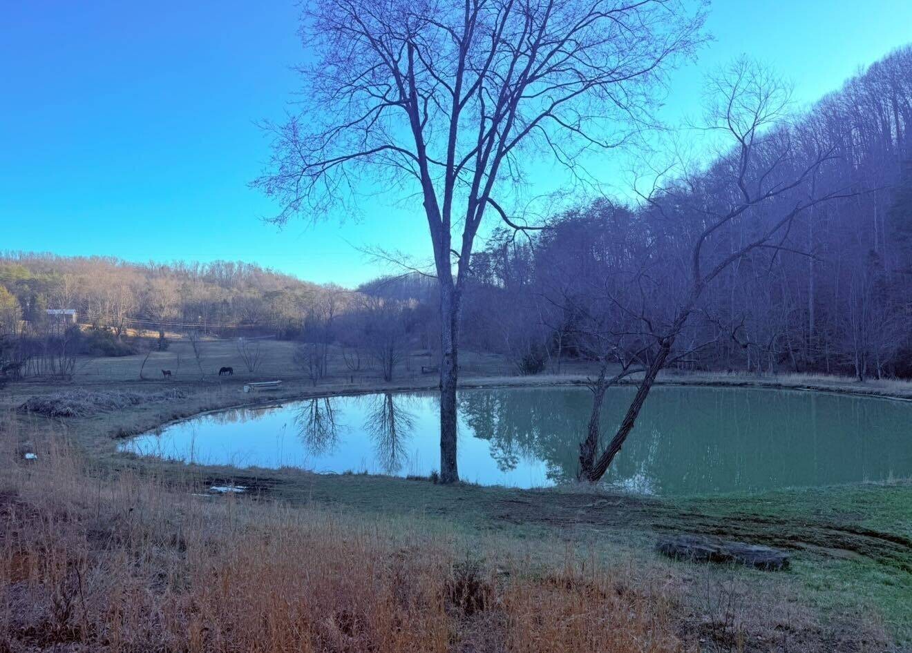 Land for Sale in Knox County, TN (72 of 76)