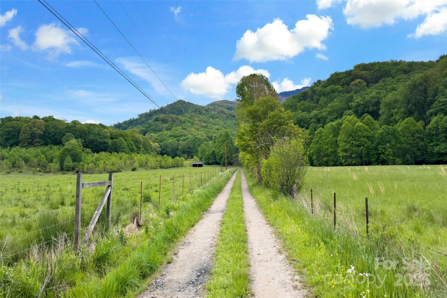 Land for Sale in Mitchell County, NC (36 of 46)