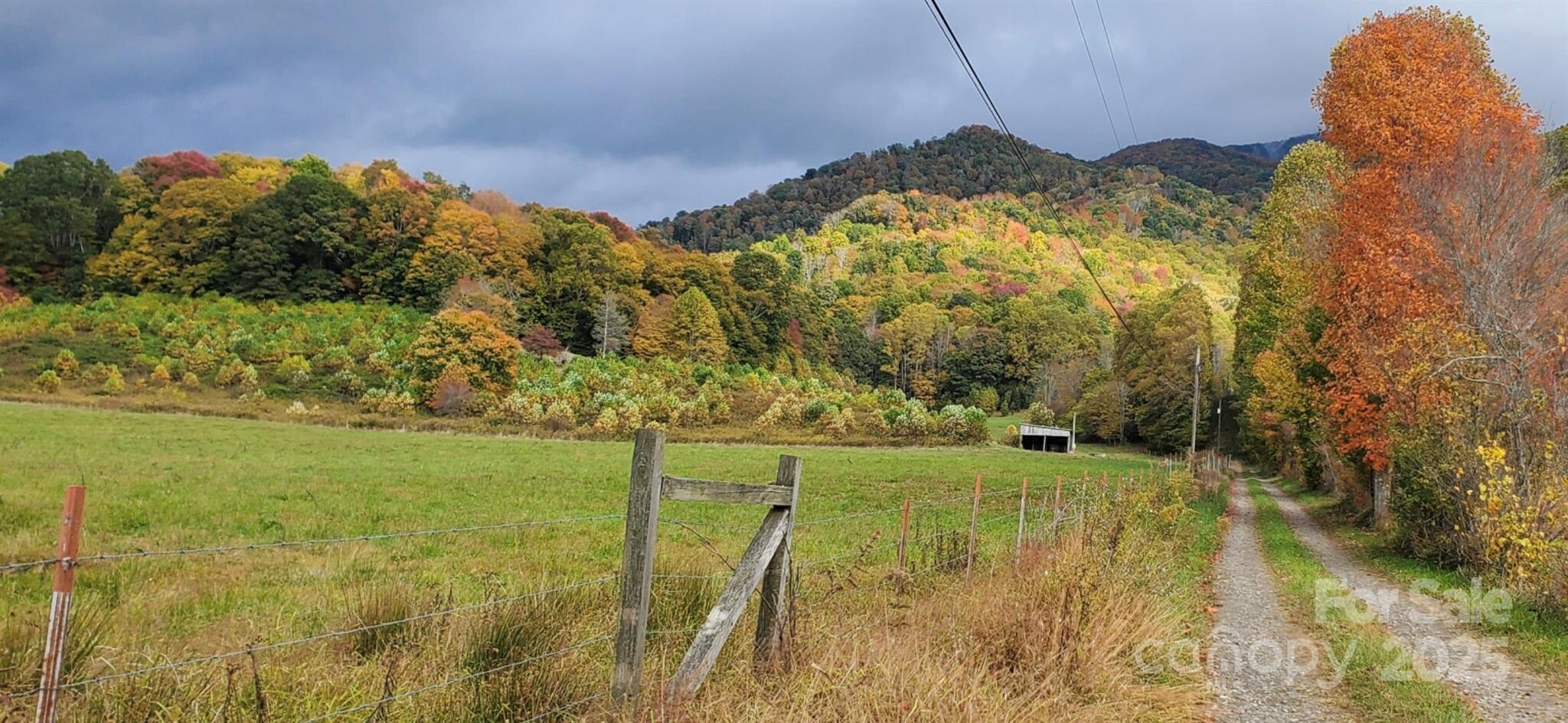 Land for Sale in Mitchell County, NC (39 of 46)