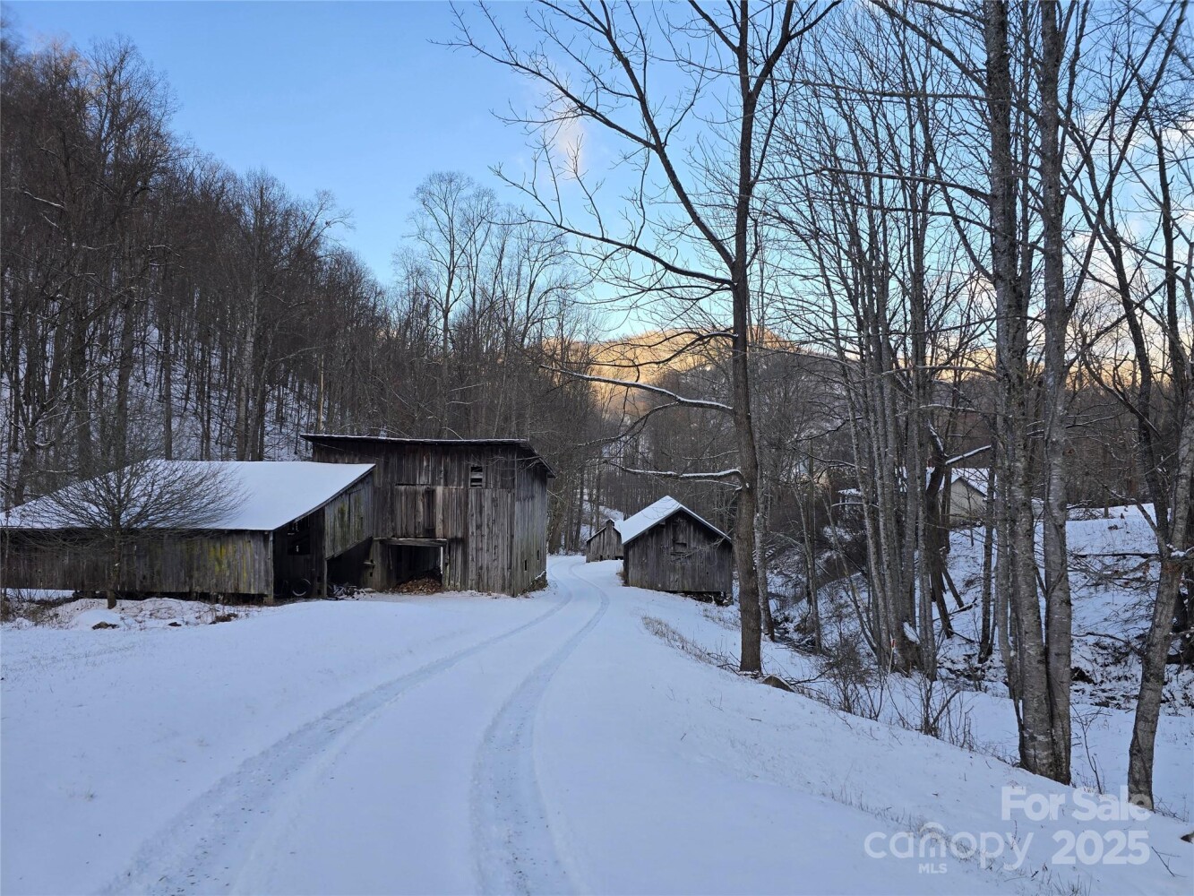 Land for Sale in Mitchell County, NC (40 of 46)