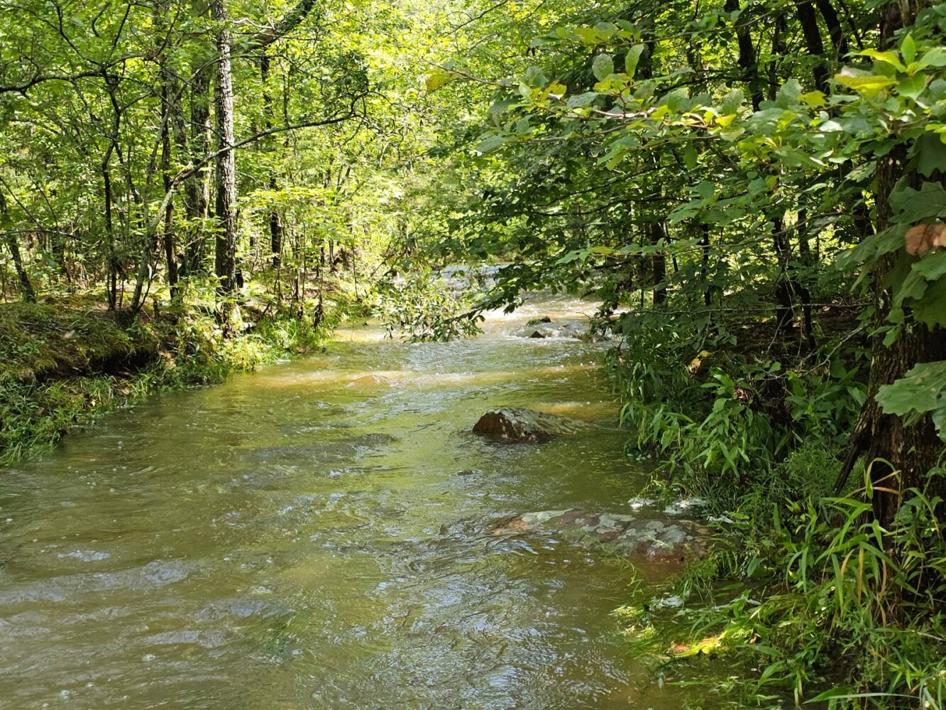 Land for Sale in Pushmataha County, OK (2 of 22)