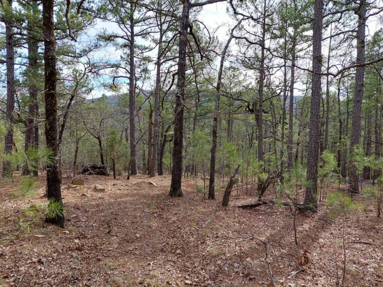 Land for Sale in Pushmataha County, OK (9 of 22)