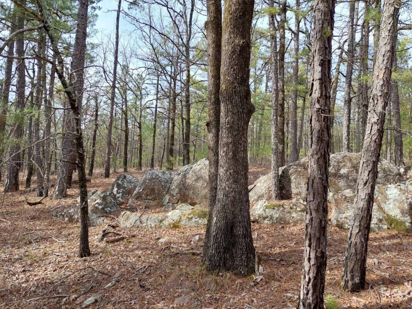 Land for Sale in Pushmataha County, OK (10 of 22)