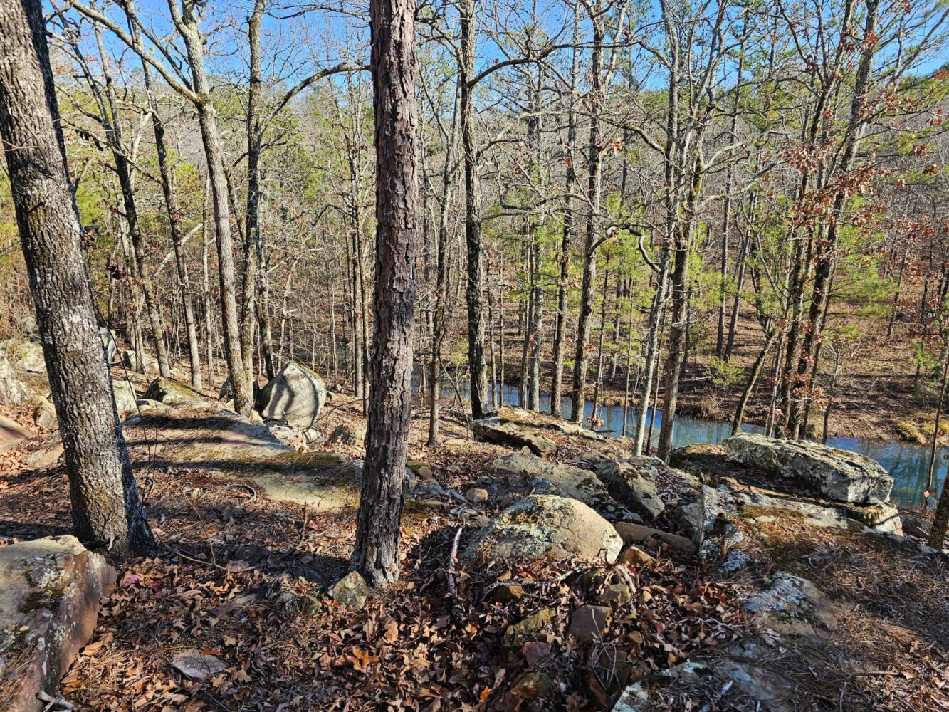 Land for Sale in Pushmataha County, OK (11 of 22)