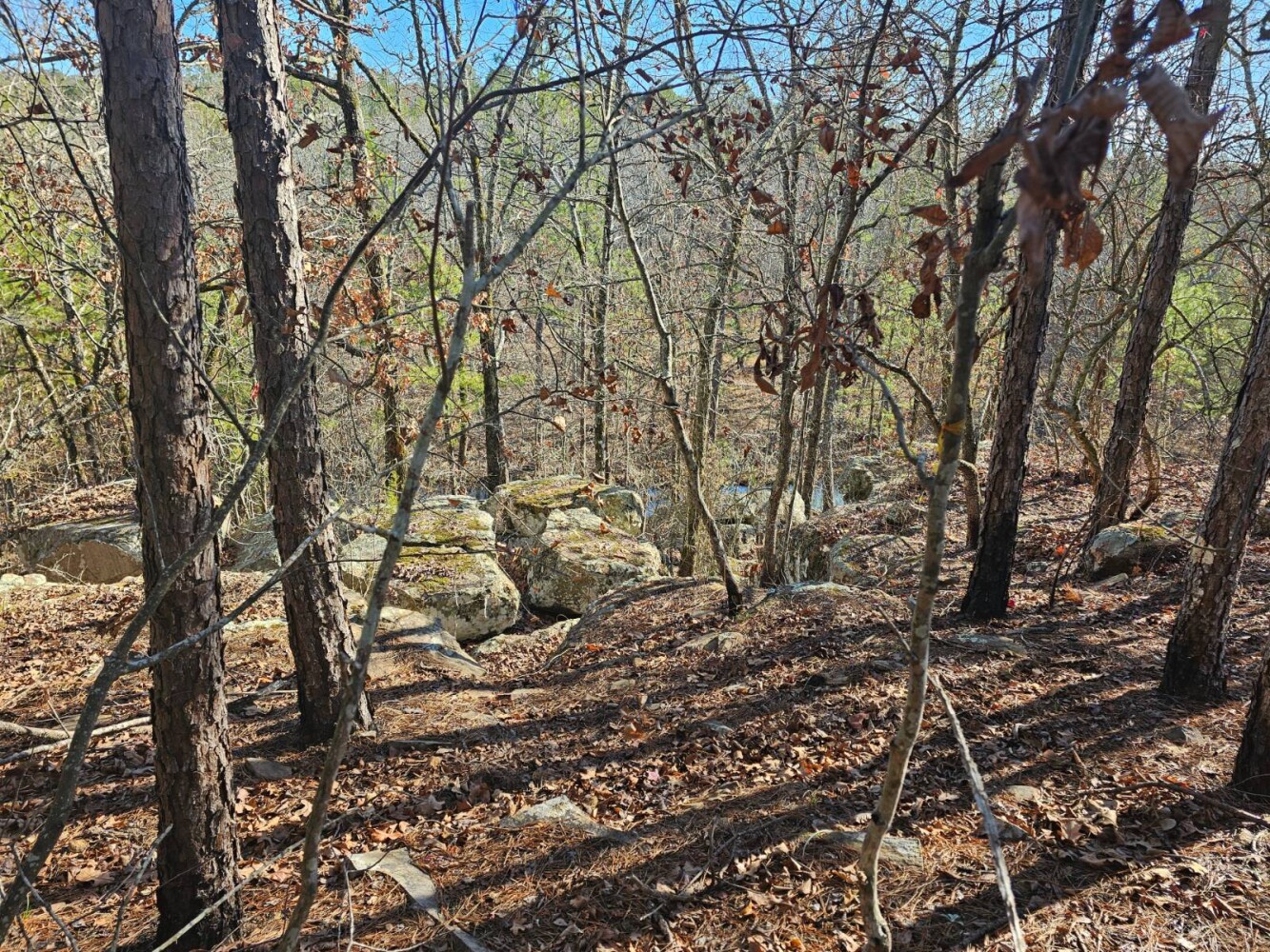 Land for Sale in Pushmataha County, OK (13 of 22)