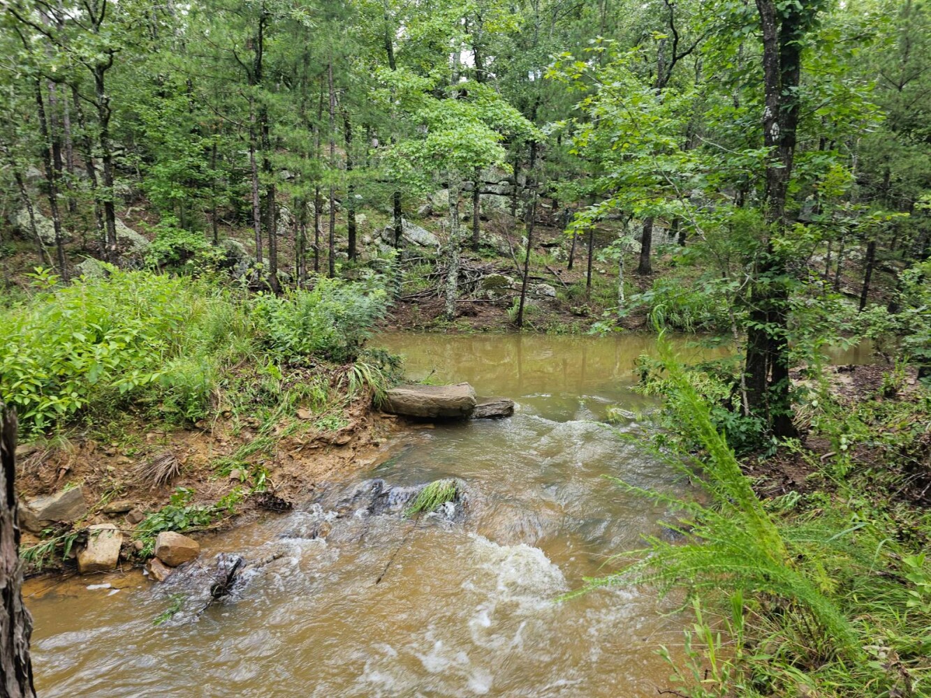 Land for Sale in Pushmataha County, OK (15 of 22)