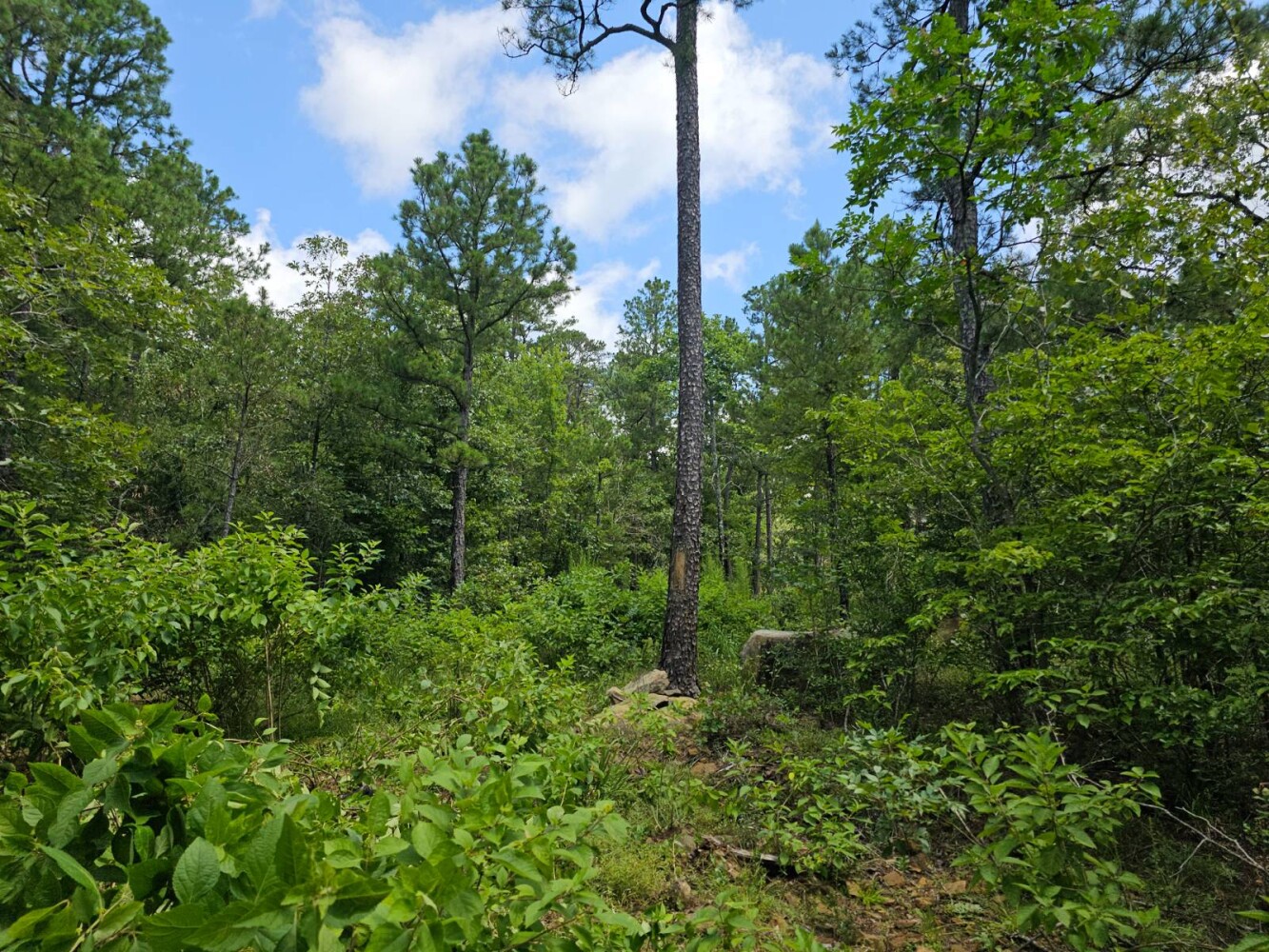 Land for Sale in Pushmataha County, OK (18 of 22)