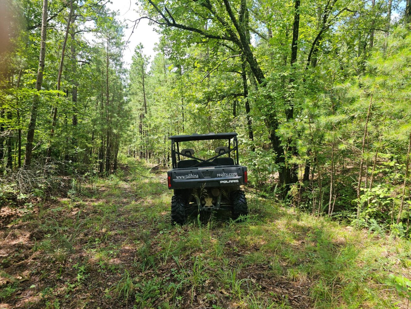Land for Sale in Pushmataha County, OK (19 of 22)