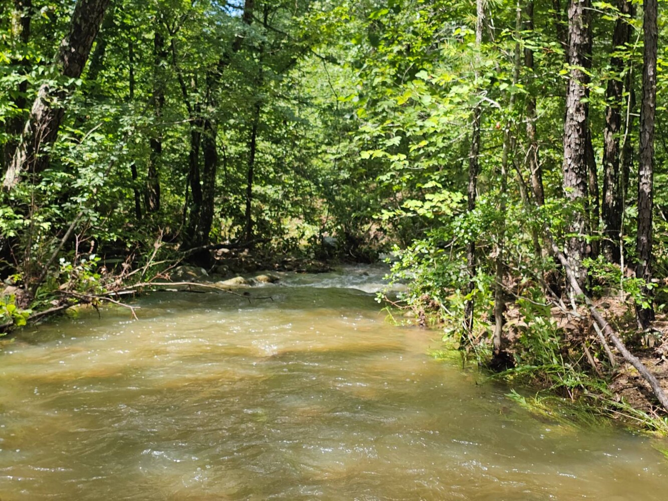 Land for Sale in Pushmataha County, OK (22 of 22)