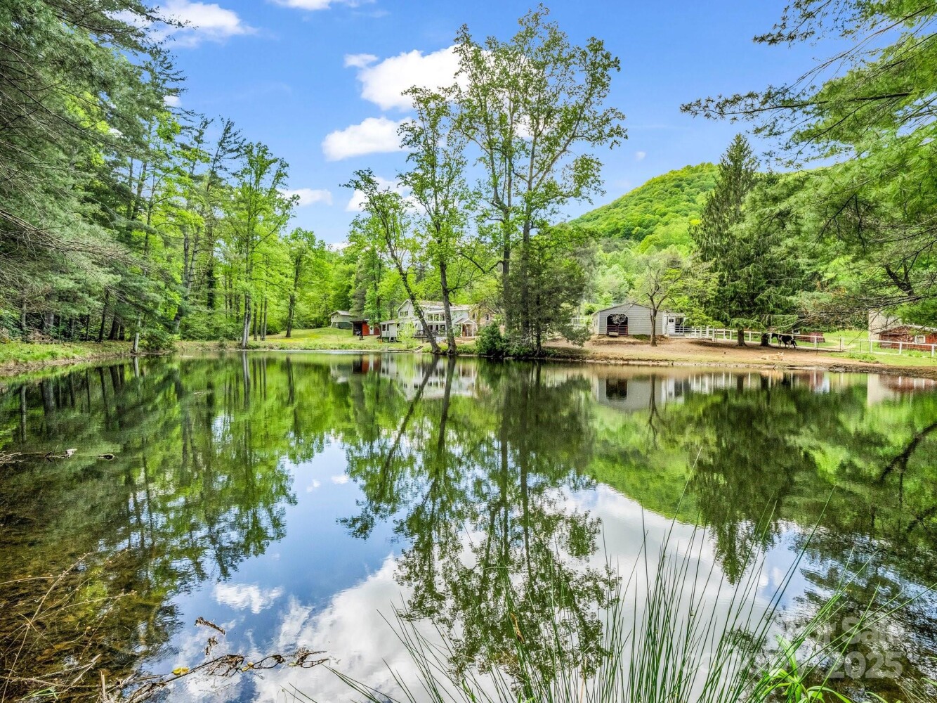 Land for Sale in Buncombe County, NC (2 of 48)
