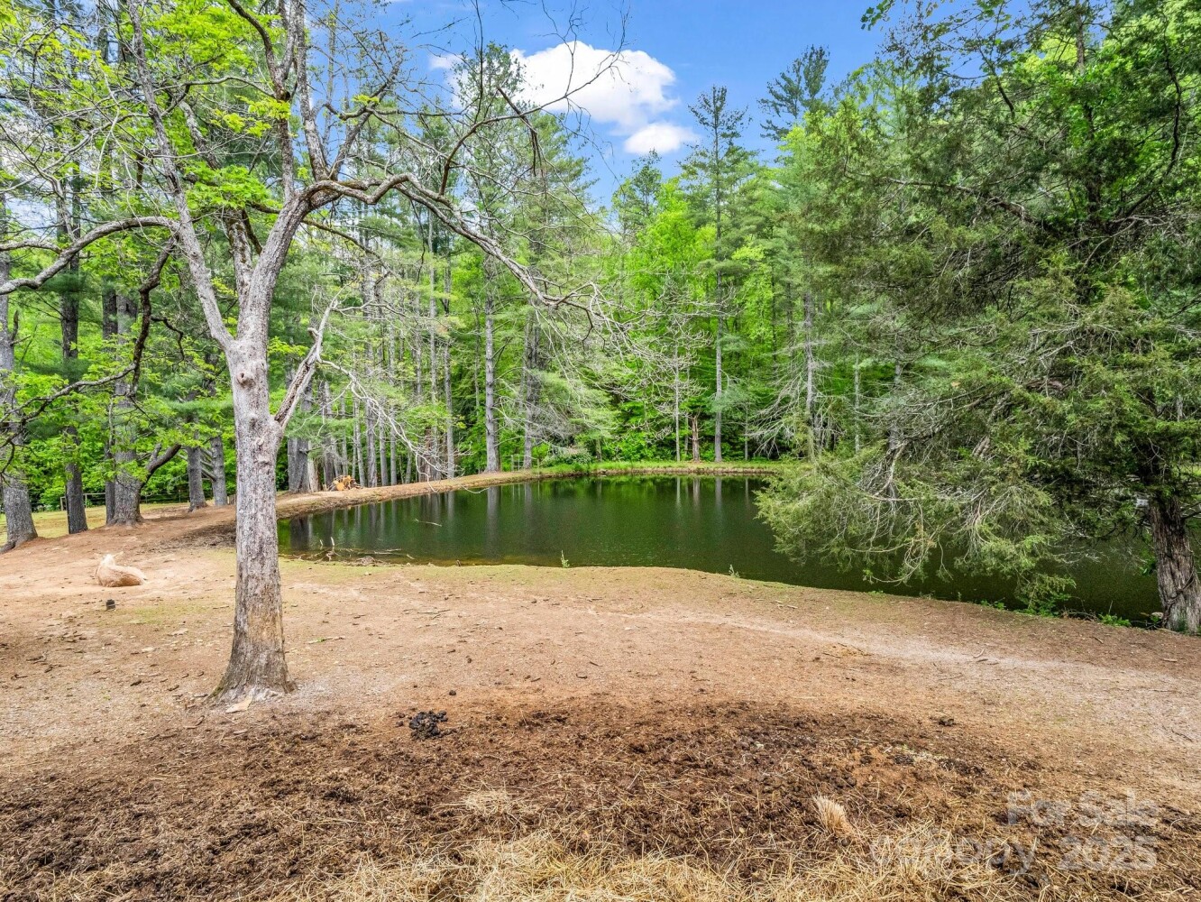 Land for Sale in Buncombe County, NC (14 of 48)