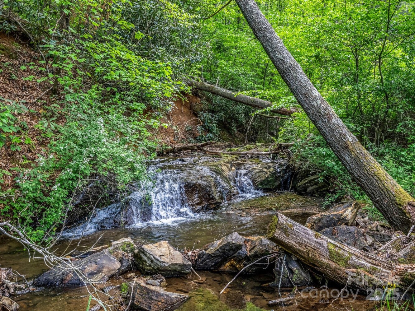 Land for Sale in Buncombe County, NC (42 of 48)