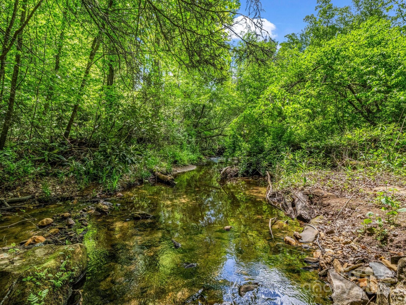 Land for Sale in Buncombe County, NC (43 of 48)