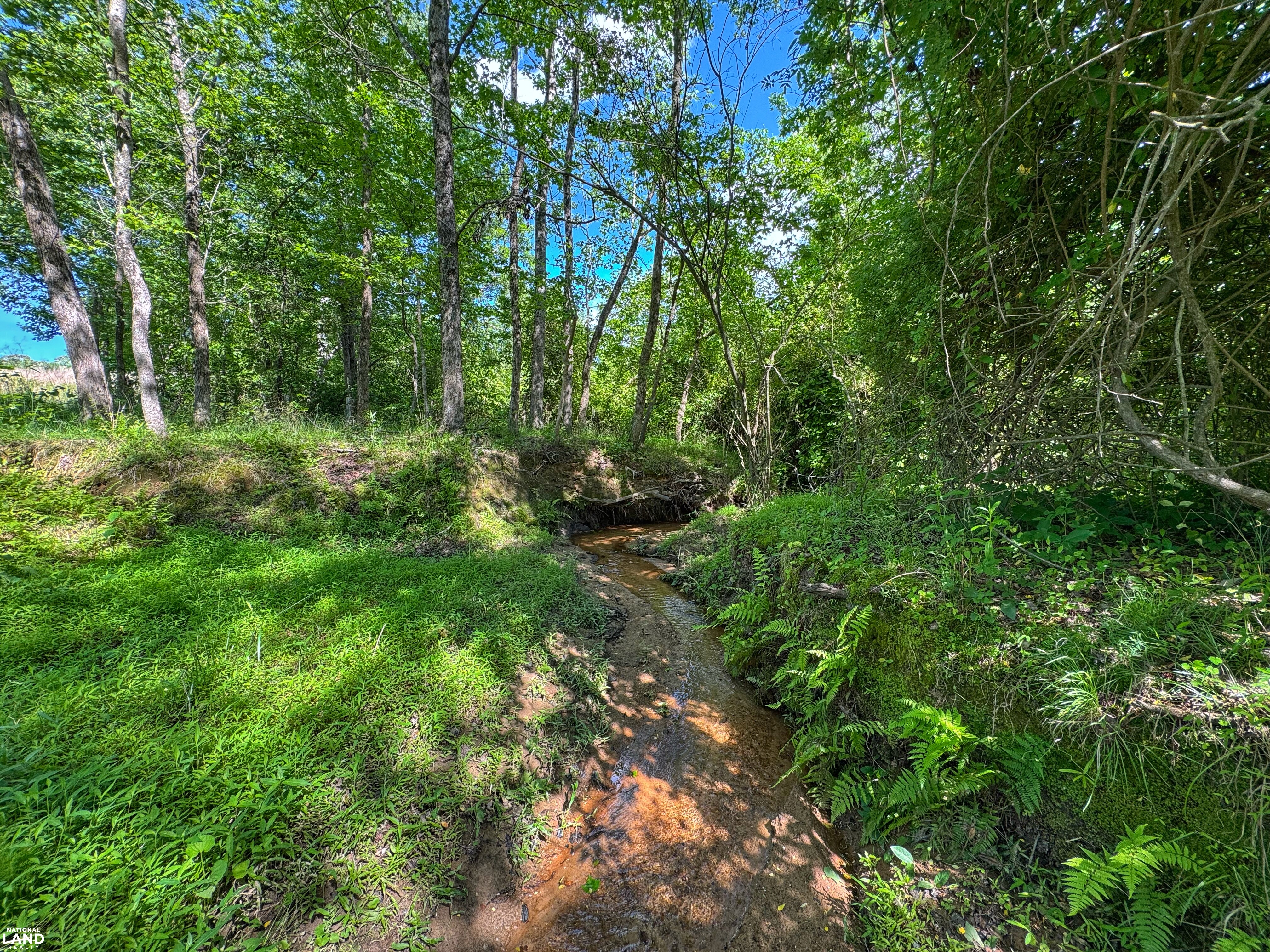 Northbrook III Build Lot in Lincoln County, NC (13 of 26)