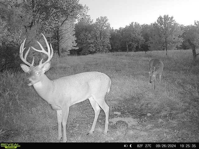 Land for Sale in Livingston County, MO (1 of 12)