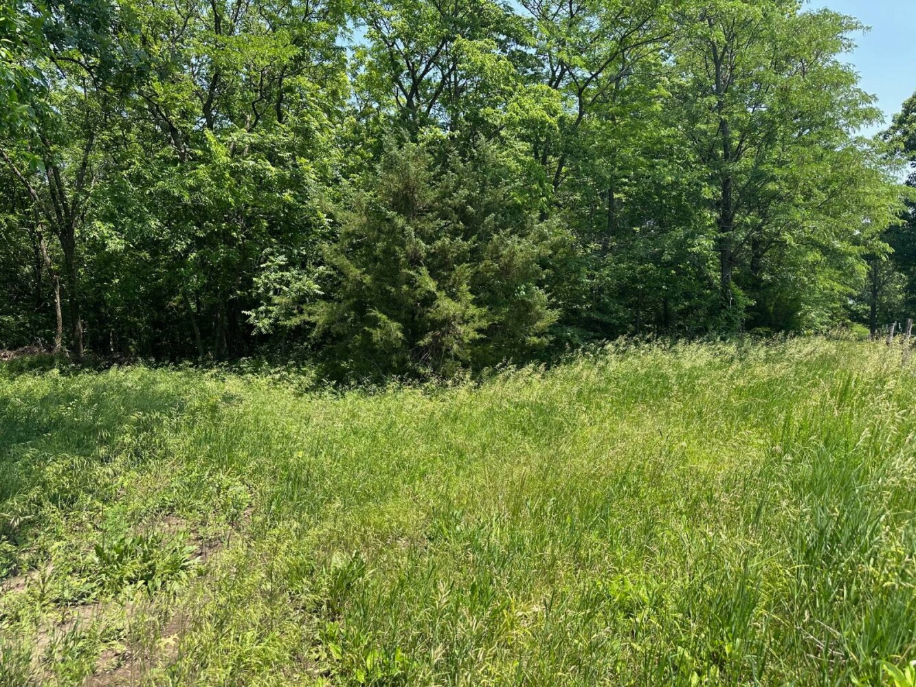 Land for Sale in Livingston County, MO (3 of 12)