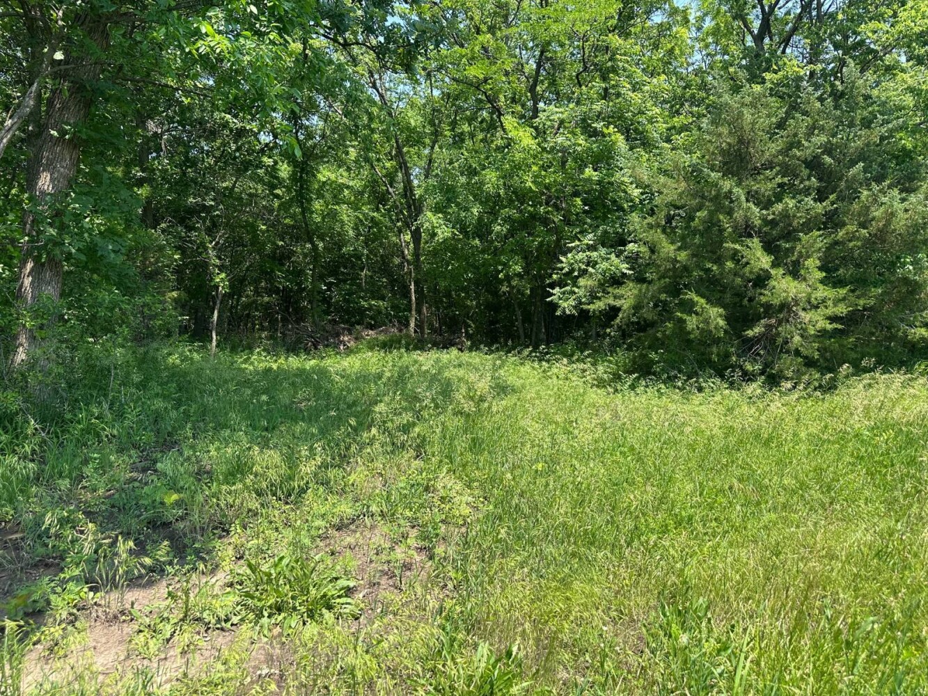 Land for Sale in Livingston County, MO (4 of 12)