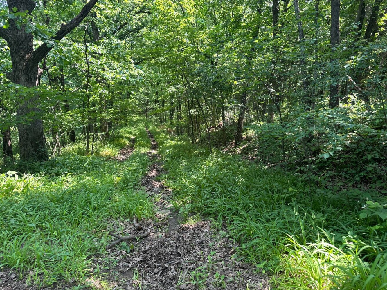 Land for Sale in Livingston County, MO (5 of 12)