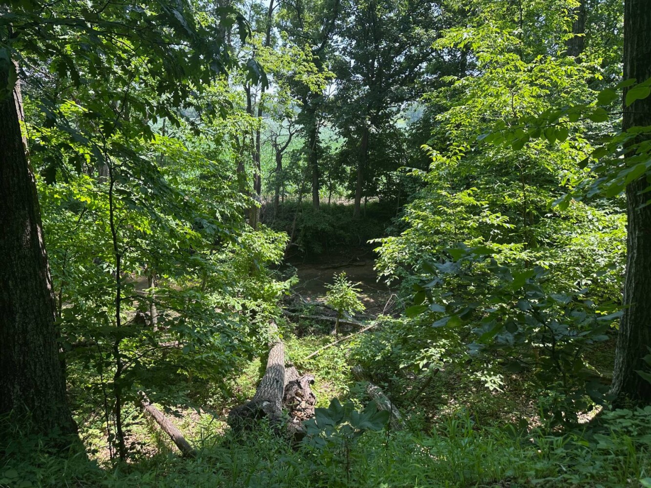 Land for Sale in Livingston County, MO (6 of 12)