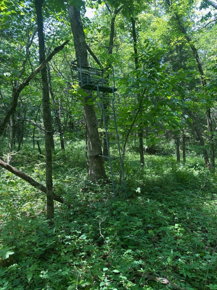 Land for Sale in Livingston County, MO (7 of 12)