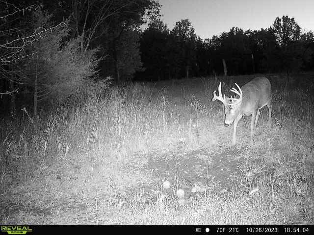 Land for Sale in Livingston County, MO (8 of 12)