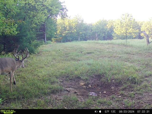 Land for Sale in Livingston County, MO (9 of 12)