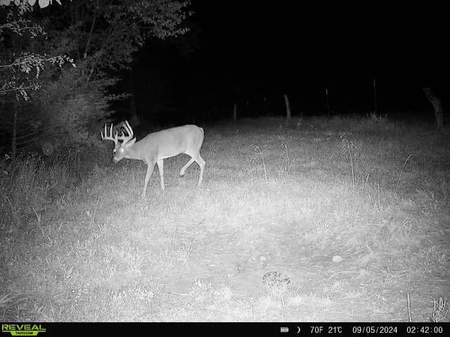 Land for Sale in Livingston County, MO (11 of 12)