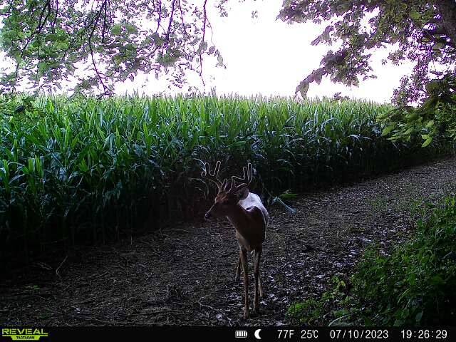 Land for Sale in Livingston County, MO (12 of 12)